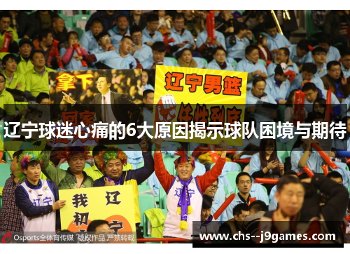 辽宁球迷心痛的6大原因揭示球队困境与期待 辽宁球迷心痛的6大原因揭示球队困境与期待